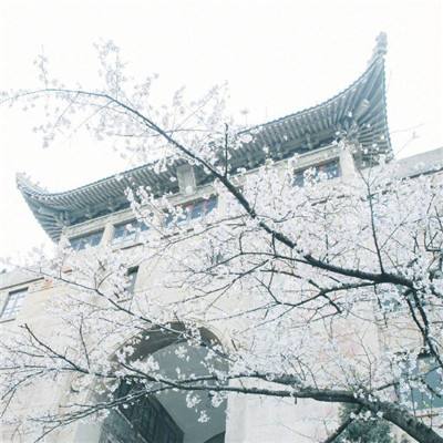 星乐体育娱乐APP/手机APP下载