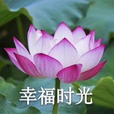 工业有色ETF鹏华(159162)涨3.20%,成交额2181.02万元